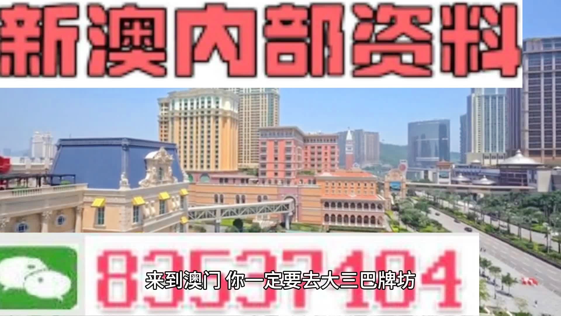 体育保障组织 第205页