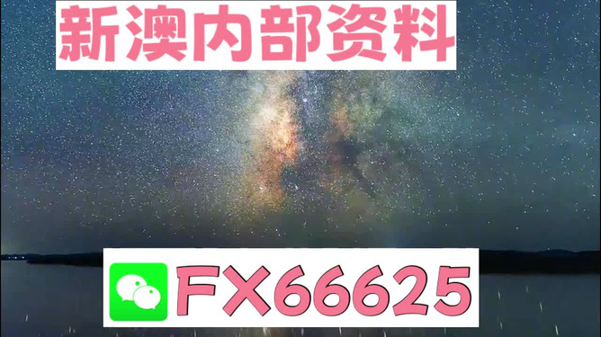 新澳天天彩免费资料2024老,精准实施分析_V版13.489