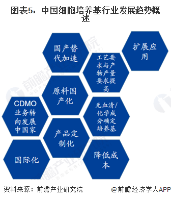 新澳门资料大全正版资料2024年免费下载,经济性执行方案剖析_复古版55.958