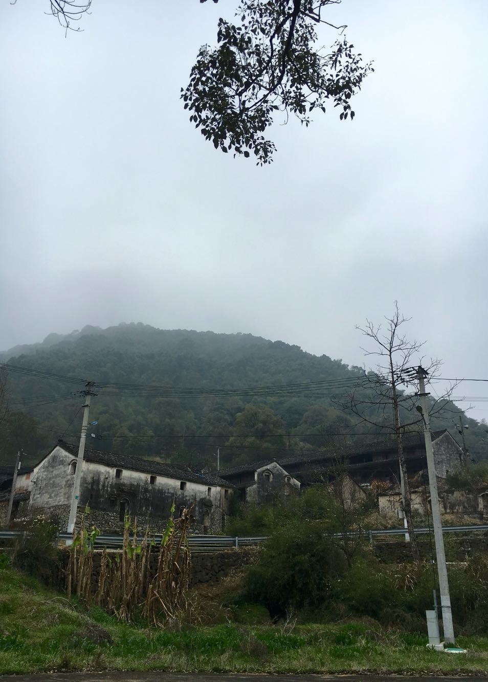 大佛村天气预报更新通知