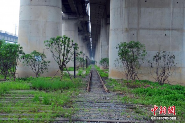 戴家湖，生态修复与再生的城市绿洲新貌