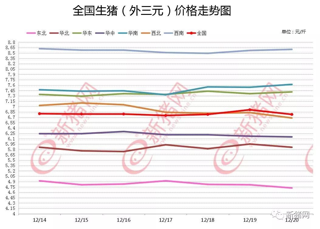 最新毛猪猪价走势解析