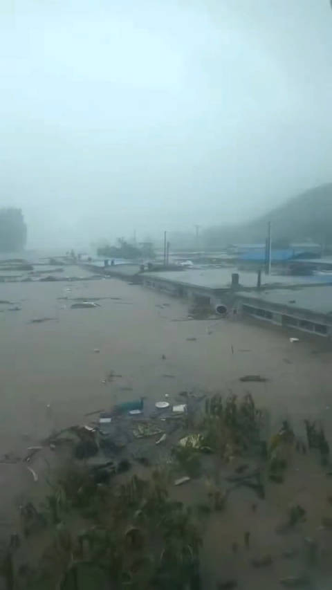 庄河大暴雨最新情况报告，实时更新与总结分析