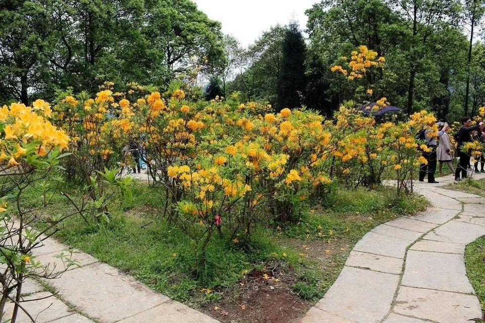 长沙市芙蓉区最新地图，揭示城市发展的脉络