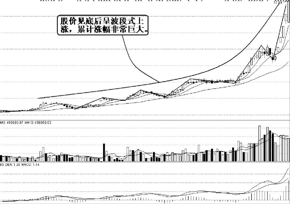 揭秘新五丰（600975）背后的故事，最新动态与未来展望