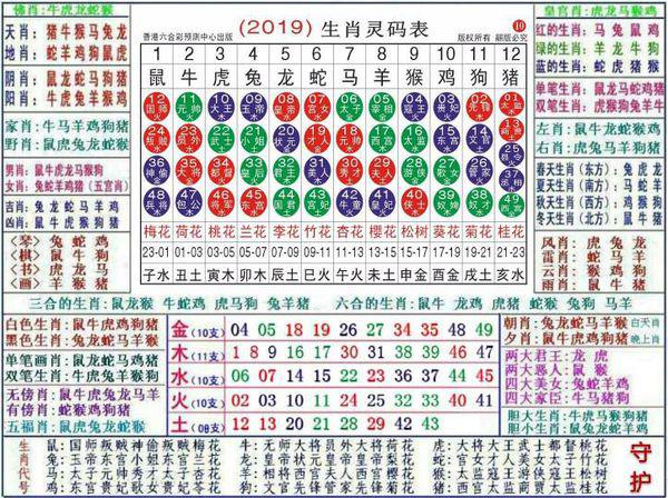 2024最新奥马免费资料生肖卡,全面实施分析数据_轻量版89.918