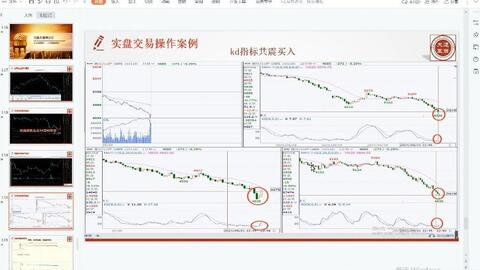 新澳门彩历史开奖记录走势图香港,经典案例解释定义_视频版62.893