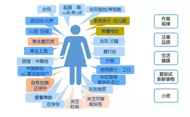 2024新澳最精准资料,数据驱动执行方案_领航款99.454