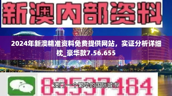 新澳2024正版资料免费大全,数据导向计划解析_4K版29.951