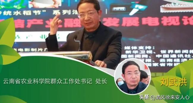 昆明刘洪启最新动态，成长历程揭秘与现今发展追踪