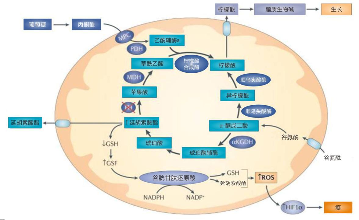 生物学最新进展重塑生命科学的认知边界