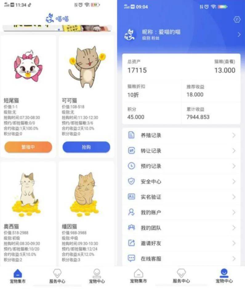 关于猫咪app破解版的探讨，触碰犯罪边缘的警示分析