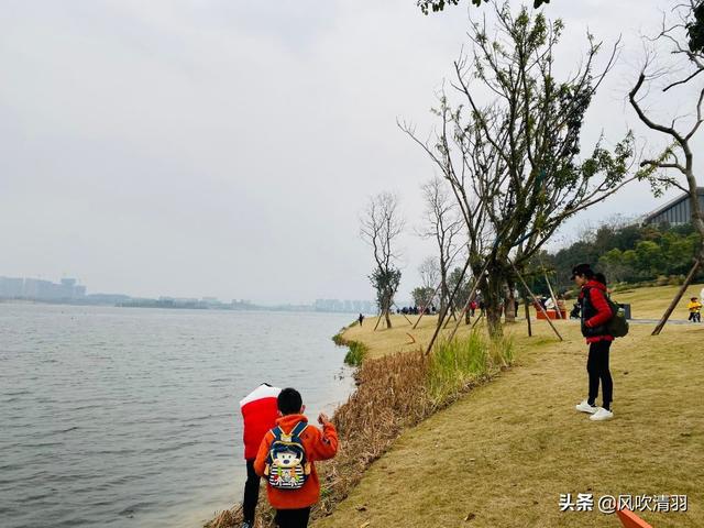 成都安靖湖生态修复进展及未来规划揭秘