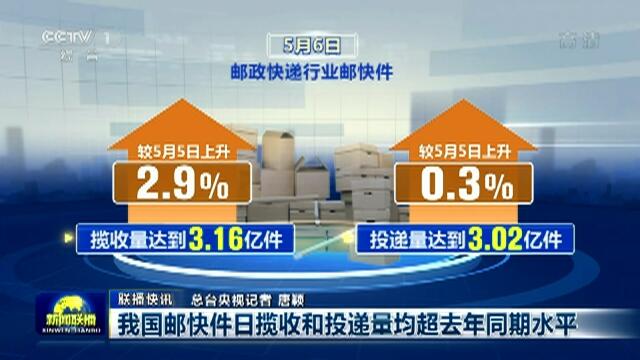 2024年12月2日 第13页