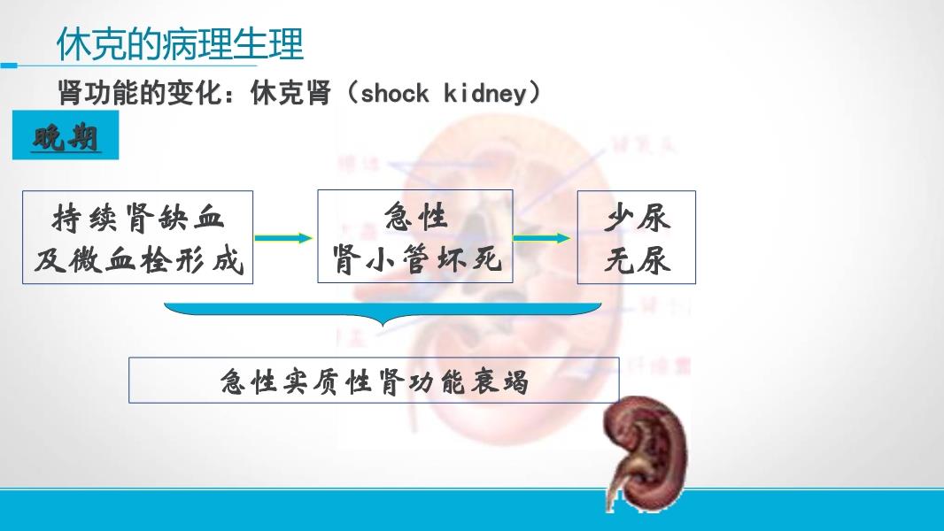 休克最新分类及其临床意义概述