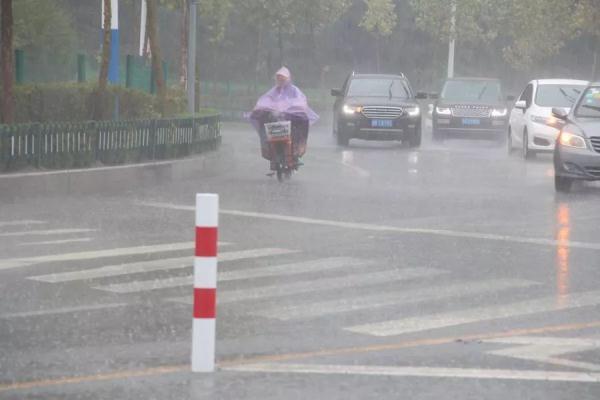 丹东雨势最新动态，自然交响乐的独特演绎