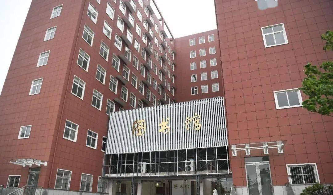 丰宁最新招聘动态及其社会影响分析