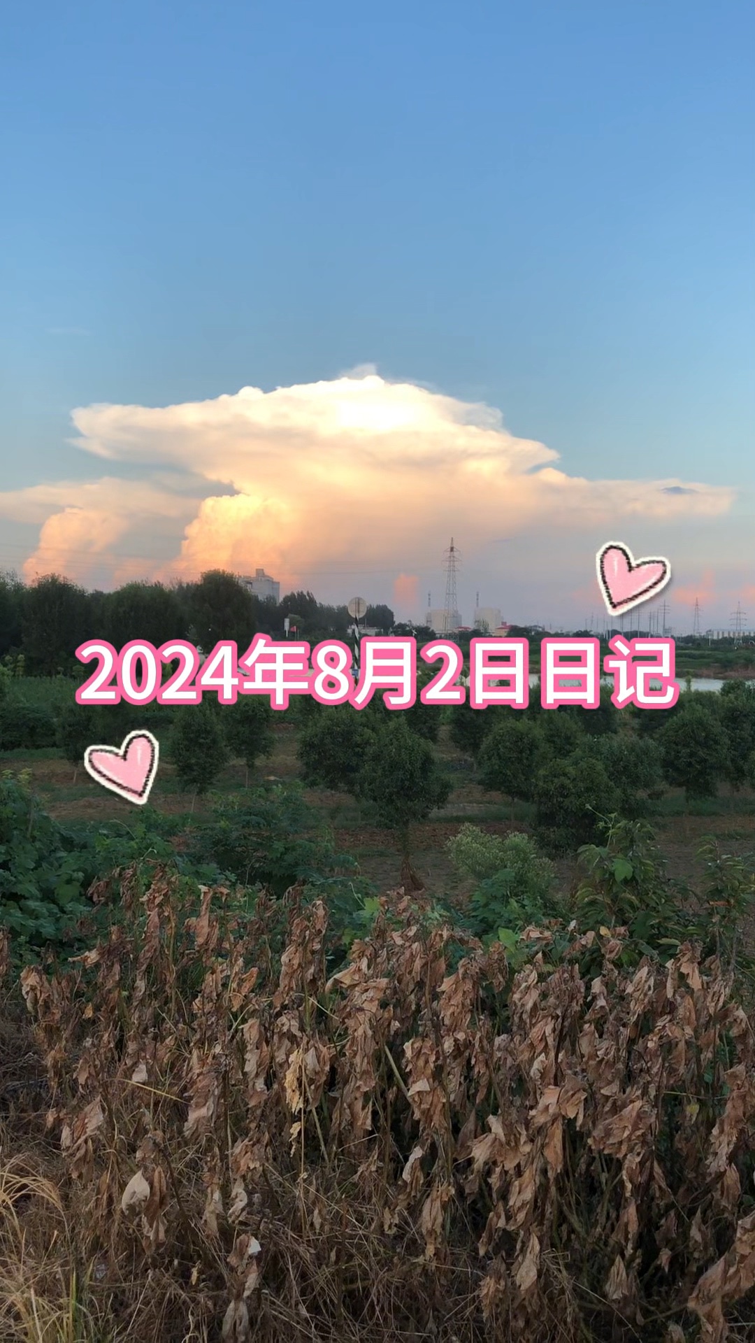 晨曦新篇章，2024年唯美日志开启