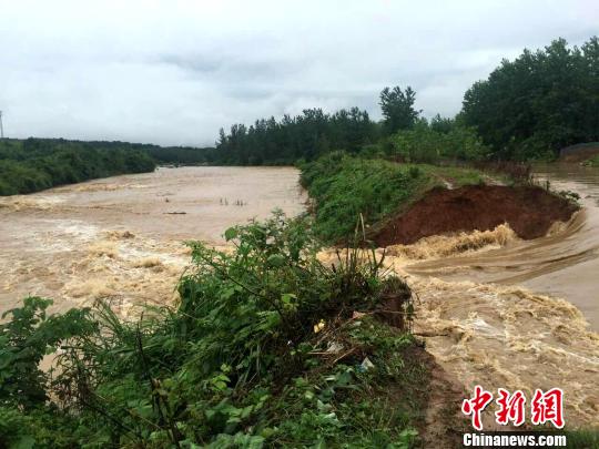 湖北阳新面临最新水灾挑战与应对策略