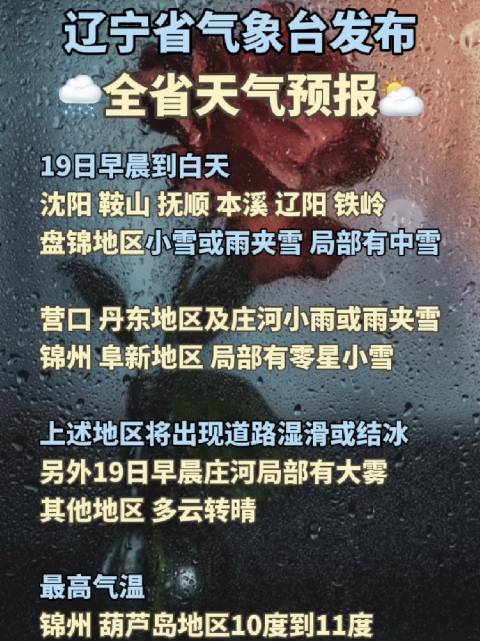 辽宁气象预警最新动态解析报告