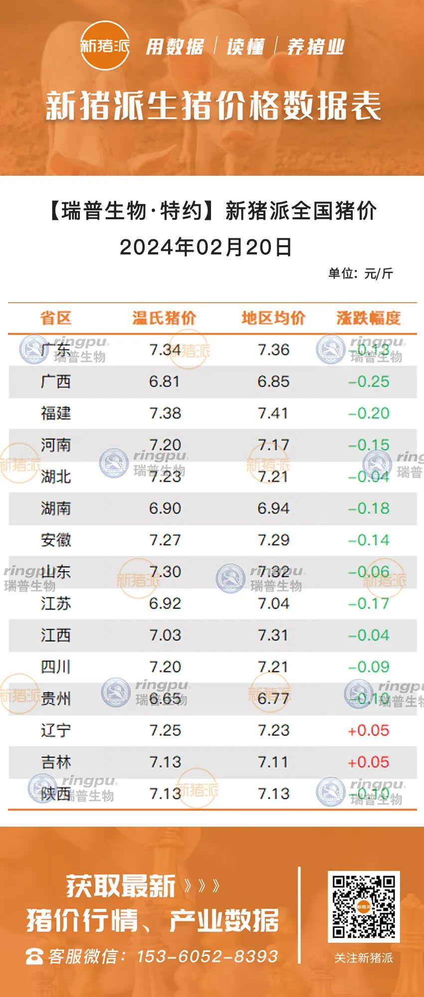 最新猪价早报，今日行情分析